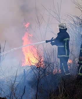 Two firefighters using hoses to extinguish flames during a wildfire in a wooded area. - Olive Oil Times
