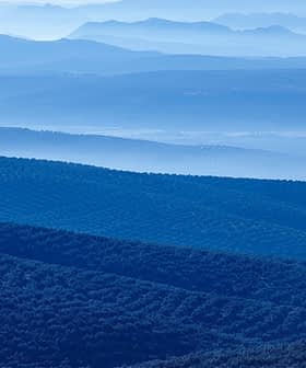 Layered blue mountain landscape featuring rolling hills and valleys in various shades of blue. - Olive Oil Times