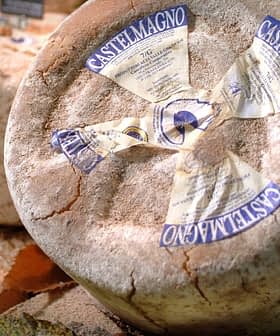 Round wheel of Castelmagno cheese with a blue and white label on a wooden surface. - Olive Oil Times