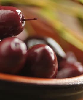 A close-up view of dark olives in a brown bowl with olive branches in the background. - Olive Oil Times
