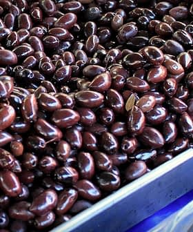 A close-up view of a tray filled with dark black olives arranged in a uniform manner. - Olive Oil Times