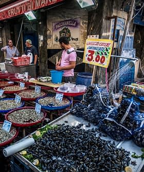 A seafood market displaying various types of shellfish and fish in colorful containers. - Olive Oil Times
