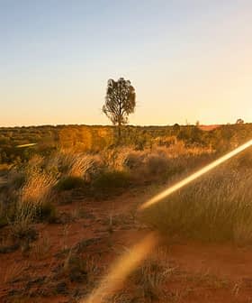 Sunset illuminating a landscape with sparse vegetation and distant trees in Australia. - Olive Oil Times