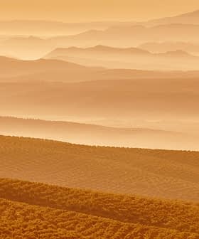 Layered landscape of rolling hills and valleys in warm orange tones during sunset. - Olive Oil Times