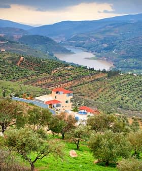 Scenic view of olive groves on hillsides with a river winding through the valley. - Olive Oil Times