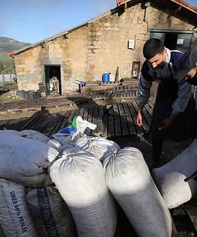 Two workers examining large bags of material in a rural setting with a building in the background. - Olive Oil Times