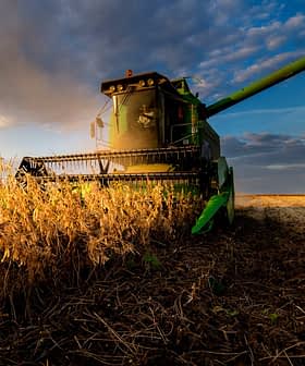 Green combine harvester working in a soybean field during sunset with clouds in the sky. - Olive Oil Times