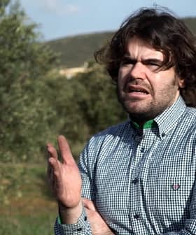 Man wearing a checkered shirt gesturing while standing in an olive grove. - Olive Oil Times