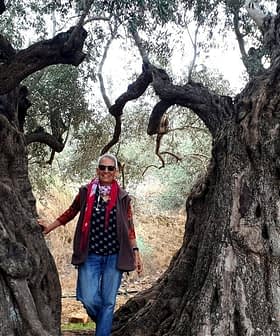 Individual standing between two large, gnarled olive trees in a natural setting. - Olive Oil Times