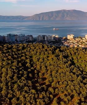 Aerial view of a coastal city with buildings and hills covered in greenery. - Olive Oil Times