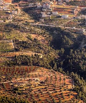 Aerial view of a diverse agricultural landscape featuring fields and trees in a rural area. - Olive Oil Times