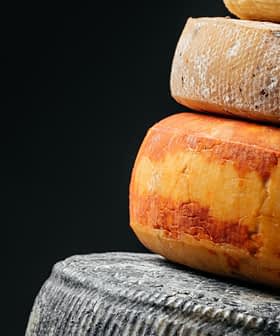 A stack of different types of cheese, including a yellow-orange cheese and a dark cheese, against a dark background. - Olive Oil Times