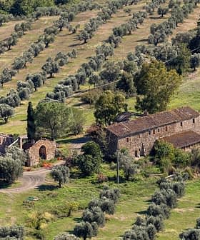 Aerial view of a farmhouse surrounded by olive trees in a rural landscape. - Olive Oil Times