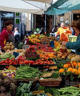 A market stall filled with various fresh fruits and vegetables, including tomatoes, oranges, and leafy greens. - Olive Oil Times