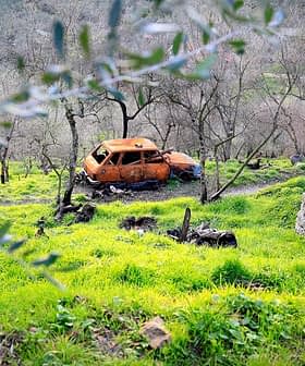 An abandoned orange car partially hidden among trees and grass in a rural area. - Olive Oil Times