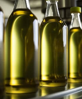 Row of glass bottles filled with olive oil on a production line in a factory setting. - Olive Oil Times