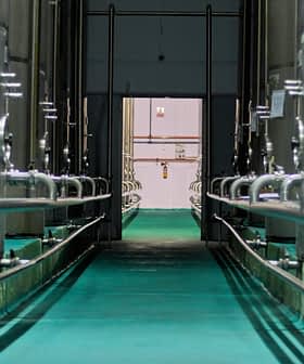 Interior view of a processing facility with stainless steel oil storage tanks and pipes. - Olive Oil Times