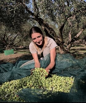 Woman holding freshly harvested olives while sitting on a green net in an olive grove. - Olive Oil Times