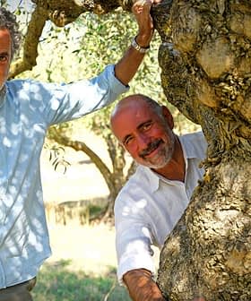 Two men standing beside a large olive tree, one leaning against the trunk and the other holding onto a branch. - Olive Oil Times