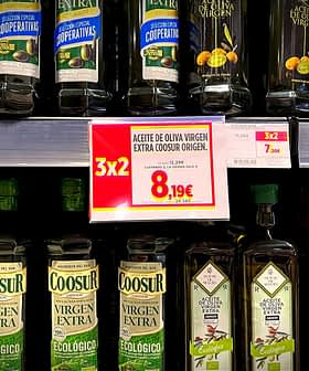 Various bottles of olive oil displayed on a supermarket shelf with pricing labels. - Olive Oil Times
