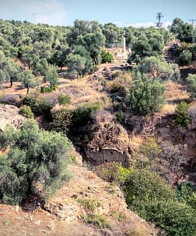 An ancient stone bridge in a landscape filled with olive trees and rocky terrain. - Olive Oil Times