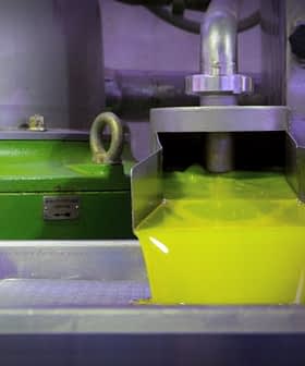 Stream of fresh olive oil flowing from a processing machine in a production facility. - Olive Oil Times