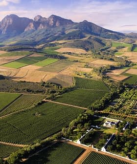 Aerial view of agricultural fields with mountains in the background in a rural landscape. - Olive Oil Times