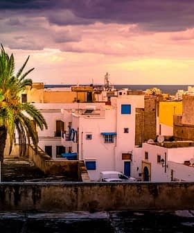 A palm tree stands among rooftops with buildings and a distant view of the sea under a cloudy sky. - Olive Oil Times