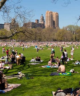 Large crowd of people enjoying a sunny day on the grass in Central Park, New York City. - Olive Oil Times