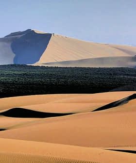 View of sand dunes with mountains in the background and a patch of greenery. - Olive Oil Times