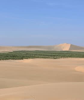 A vast desert landscape featuring rolling sand dunes and a green oasis in the center. - Olive Oil Times