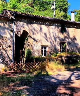 A rustic stone building featuring green windows and a door, surrounded by greenery. - Olive Oil Times