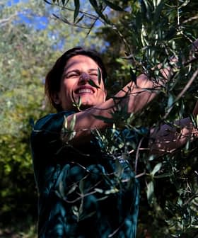 Woman smiling while harvesting olives from an olive tree in a natural setting. - Olive Oil Times