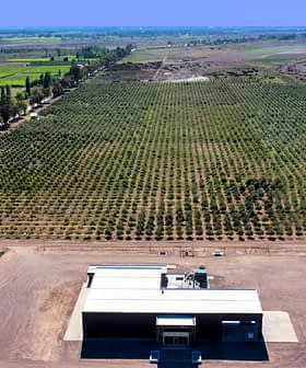 Aerial view of an olive grove with a processing facility in the foreground. - Olive Oil Times