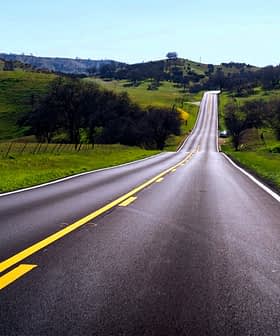 A winding road stretching through a green landscape with trees on either side. - Olive Oil Times