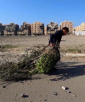 A child walking while carrying a bundle of branches in an urban setting with damaged buildings in the background. - Olive Oil Times