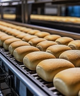 Freshly baked bread rolls arranged on a conveyor belt in a production facility. - Olive Oil Times