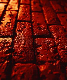 Close-up view of a textured red brick surface with visible imperfections and patterns. - Olive Oil Times