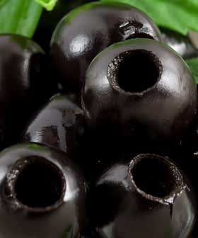 Close-up of black olives with a glossy surface, placed in a clear bowl with green leaves. - Olive Oil Times