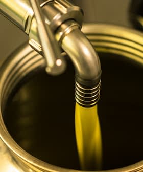 Olive oil being poured from a metal canister into a container. - Olive Oil Times