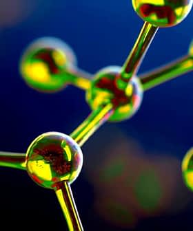 Close-up view of a molecular structure featuring green and yellow atoms connected by bonds. - Olive Oil Times