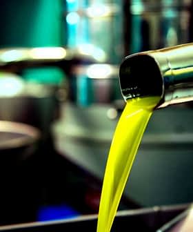 Un chorro de aceite de oliva de color verde brillante sale de un grifo de metal hacia un recipiente. Olive Oil Times