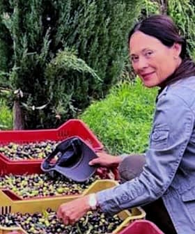 屋外で赤と黄色のバスケットにオリーブを仕分けしている女性。 - Olive Oil Times