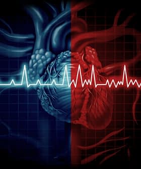 Illustration showing a heart divided into two halves with contrasting colors and an ECG waveform overlay. - Olive Oil Times
