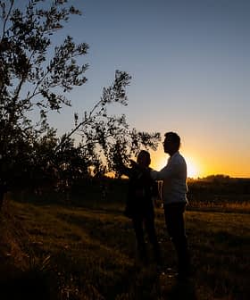 Silhueti dveh posameznikov, ki stojita ob oljki med sončnim zahodom in jasnim nebom. - Olive Oil Times