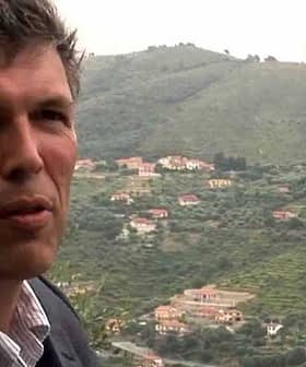 Moški v obleki stoji pred oljčnim nasadom na pobočju. - Olive Oil Times
