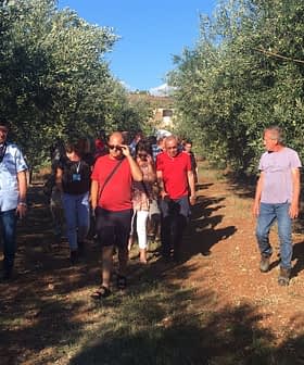 - Her iki tarafında ağaçlar bulunan bir zeytin bahçesinde yürüyen bir grup insan. Olive Oil Times