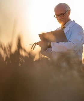 Uno scienziato agricolo in camice bianco che tiene in mano un tablet mentre è in piedi in un campo di grano al tramonto. - Olive Oil Times
