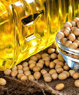 Bouteille transparente d'huile de cuisson à côté d'un bol de graines de soja sur une surface en toile de jute. - Olive Oil Times