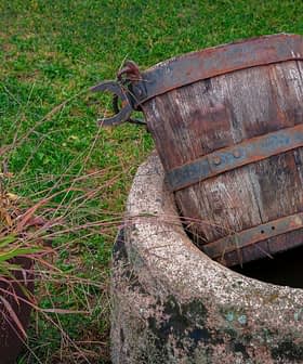 Un secchio di legno parzialmente immerso in un pozzo di pietra pieno d'acqua. Olive Oil Times